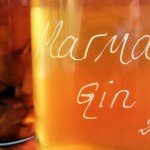 Marmalady Orange Gin