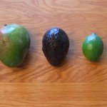 Mango Avocado Salsa Ingredients