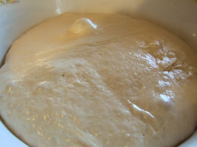 Whey Ciabatta Dough Risen 640x480 Whey Bread   A monstrous Ciabatta