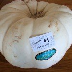Pumpkin Bargains