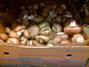 Crimini Mushrooms