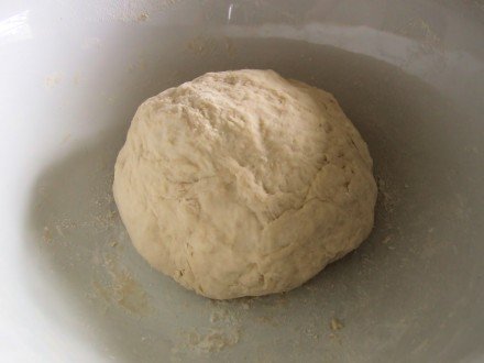 Basic bread dough