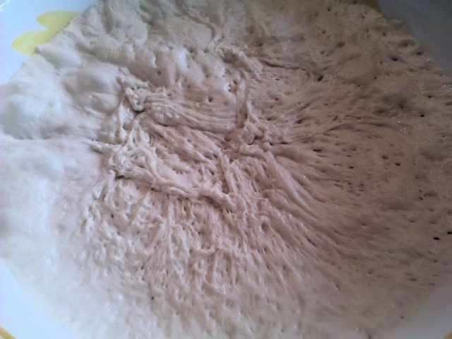 Ciabatta dough risen