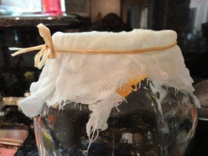 Cheese Cloth Secured To Glass Jar to Filter the Homemade Dried Apricot Liqueur