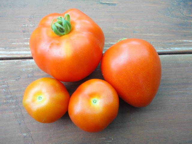 Ripe Tomatoes from the Garden