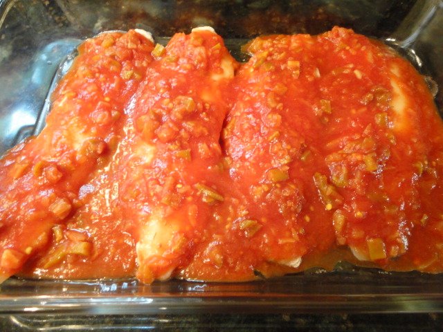 Fish Covered in Salsa