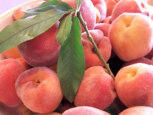 Peach Glut