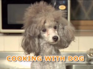 Cooking with Dog