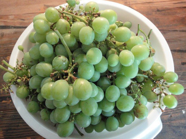 Picked Home Grown Bunches of White Grapes