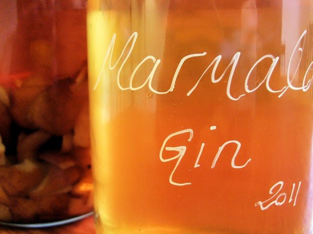 Marmalady Orange Gin
