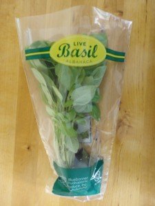 Packaged Hydroponic Grown Basil