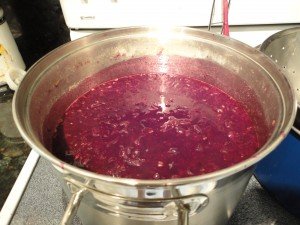 Mustang Grapes Boiled Down