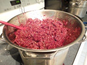 Mustang Grapes Boiled and with the Juice Being Separated