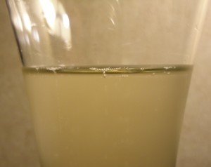 Close up picture of Julian Hard Apple Cider in a Glass