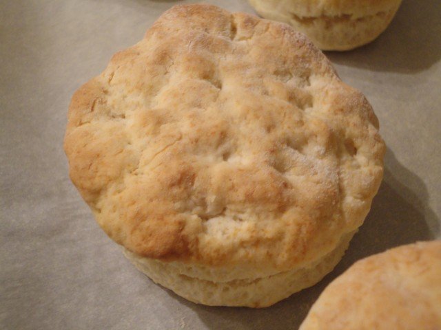 Fresh Baked Homemade Southern Style Biscuit