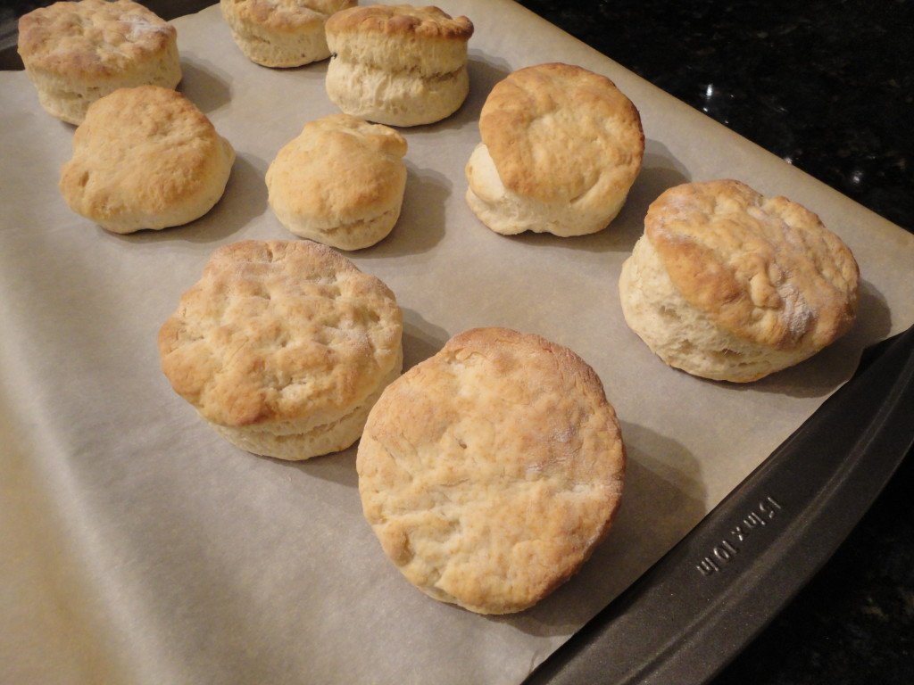 Homemade Biscuits Fresh Out Of The Oven We Are Not Foodies   Homemade Biscuits Fresh Out Of The Oven E1431957508150 