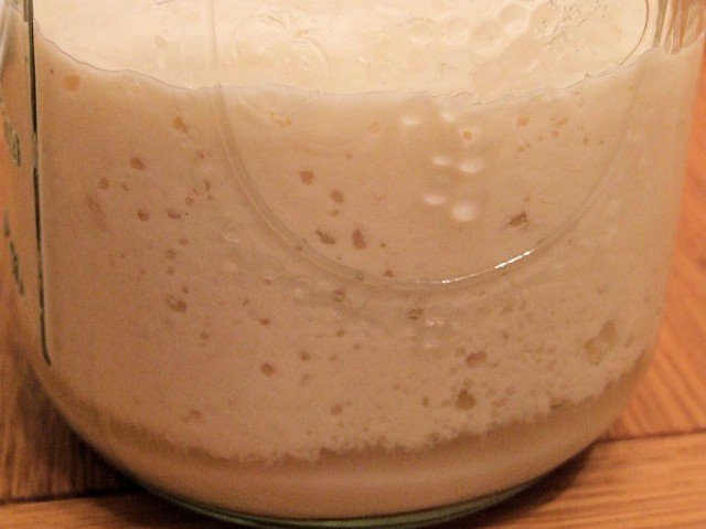 The finished sourdough starter